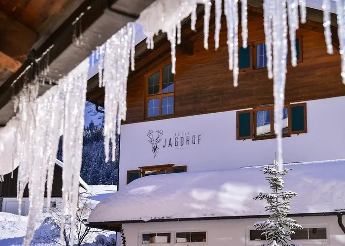 酒店 加戈霍夫酒店 4*