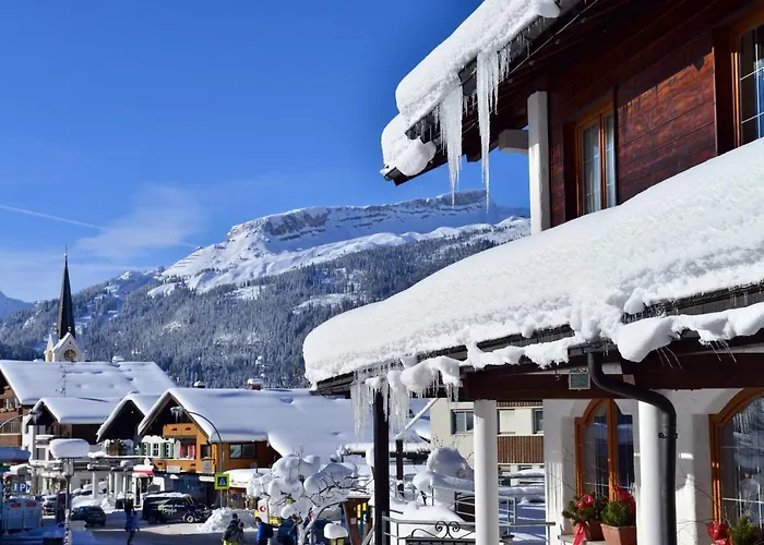 加戈霍夫酒店 4* 里茨勒恩