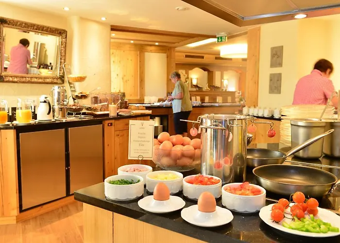 酒店 加戈霍夫酒店 4*