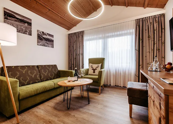 酒店 加戈霍夫酒店 4*